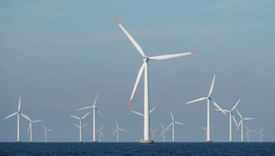 Tangedco objects to proposed transmission scheme for 1 GW of offshore wind projects
