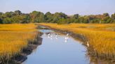 This Small South Carolina Island Has 10 Miles of Pristine Beaches and One of the Best Resorts in the State