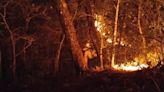 Selva de Los Chimalapas concentra 4 de los 5 incendios activos que devoran bosques de Oaxaca