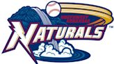 Cardinals to play at Arvest Ballpark July 4 week, bringing family fun