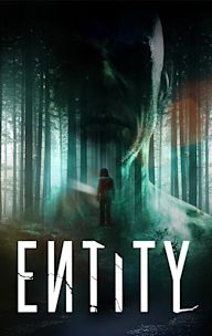 Entity