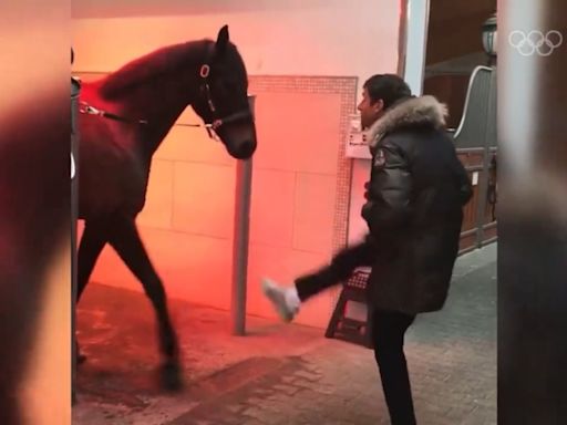 Commentator stunned as Olympic coverage cuts to Thomas Muller dancing with horse