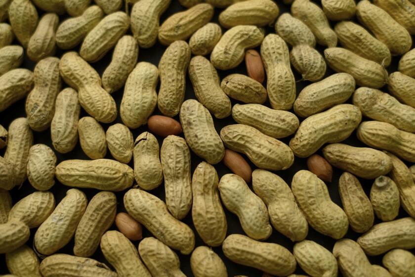 Peanuts! Get your peanuts! Kids who eat them early are much less likely to develop an allergy, studies conclude