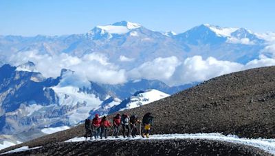 Piden una ley para “abolir el trabajo esclavo” de las mulas en el Aconcagua: ¿cuáles serían las alternativas? | Sociedad