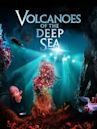 Volcanoes of the Deep Sea