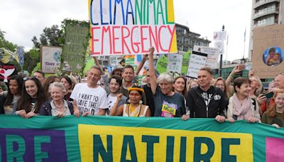 Dame Emma Thompson urges politicians to ‘listen up’ at London nature march