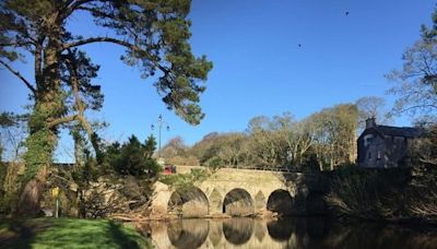 Mid Cork river in ‘scandalous state’ due to sewage flowing from treatment plant