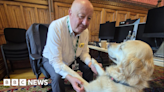 Torbay MP's guide dog Jennie aims for Larry the cat's popularity