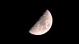 Watch the half moon of May shine by Leo the Lion in the night sky tonight