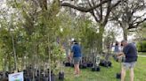 Oviedo celebrates Arbor Day with tree giveaway