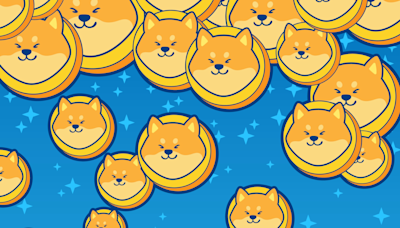 Why Meme Coins Baby Dogecoin, Shiba Inu and Smog Are Headed for Disaster