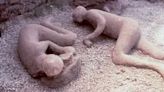 Los fascinantes “secretos genéticos” hallados en dos cuerpos preservados de la erupción de Pompeya