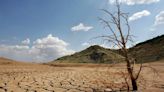 Moisés Expósito-Alonso, Premio Princesa Girona Investigación 2024: "Cuando el cambio climático toca a tu puerta, lo ves"