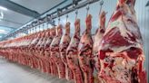 La relación con Estados Unidos: piden que el Gobierno de Milei negocie ampliar una selecta cuota de carne