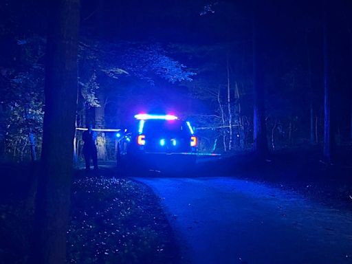 3 kids, adult found dead in ‘suspicious’ car on walking trail, Georgia police say