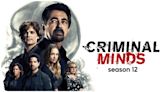 Criminal Minds Season 12 Streaming: Watch & Stream Online via Hulu & Paramount Plus