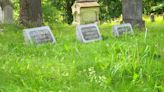 Some spots in Oakwood Cemetery in Syracuse greatly overgrown