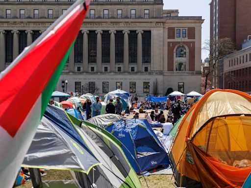 El "nuevo Vietnam": las masivas protestas universitarias propalestinas se extienden por Estados Unidos