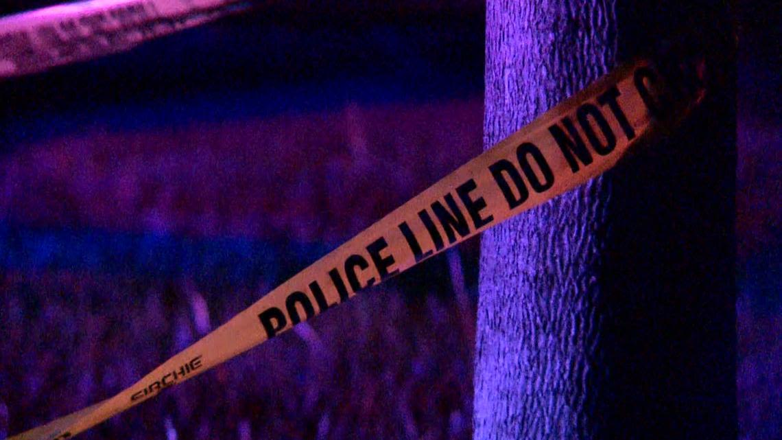 North Branch officer shoots and kills woman, police say