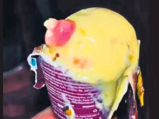 Human finger in ice cream case: FSSAI inspects Fortune Dairy industries, orders shut down - Times of India