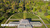 Kew Gardens says it could lose half its trees due to climate change