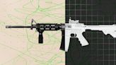 What makes the AR-15 so beloved and so reviled