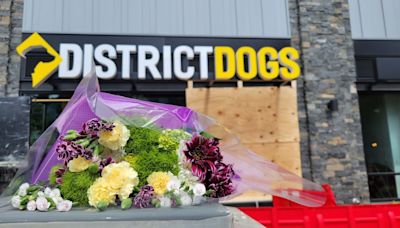 District Dogs doggy day care announces new CEO after tumultuous year