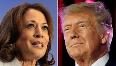 Giro en las elecciones de EE.UU.: qué dicen las encuestas sobre un posible duelo electoral entre Donald Trump y Kamala Harris