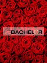 The Bachelor