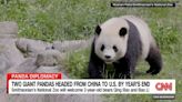 Tourists banned for life from China’s panda breeding center | CNN