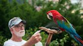 Owner mourns loss of Charlie Bird, Bloomington's green-winged macaw