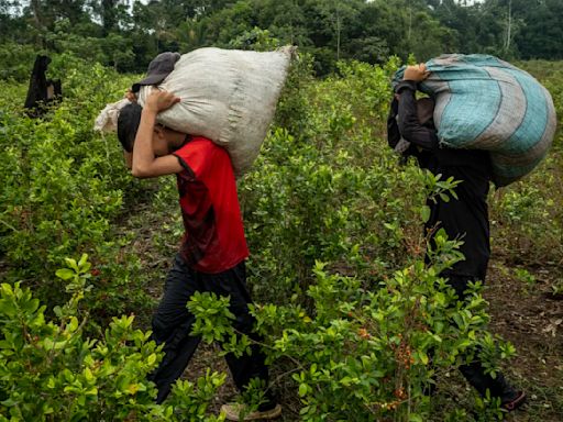 Colombia afronta un nuevo problema: el exceso de cocaína