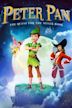 Peter Pan: The Quest for the Never Book