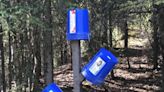 Soldotna Girl Scouts' 'bucket trees' help keep campfires from becoming wildfires