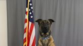 Streetsboro K-9 officer dies after ‘sudden illness’