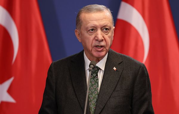 Turkey’s Erdogan Postpones US Visit to Meet Biden, Official Says