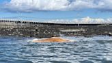 Dead whale is floating off coast of Maine town