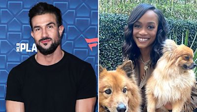 Bryan Abasolo Walks Ex Rachel Lindsay’s Dogs Amid Latest Divorce Drama