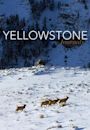 Yellowstone Journals