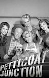 Petticoat Junction - Season 3