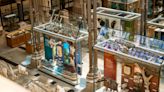 Oxford University Museum of Natural History to open 16 new displays this summer