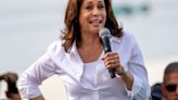 Kamala Harris' 'dark horse' VP candidate has become her 'momentum candidate': analyst