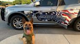 K-9 officer in critical condition after surgery; Roxboro police asking public for support