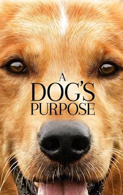 A Dog's Purpose