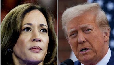 Harris vs Trump: 4th and 5th graders describe US VP in one brutal word, react to ‘convicted felon’ assassination attempt