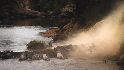 Collateral Damage: On Namibia's Plans to Kill Wildlife for Drought Relief