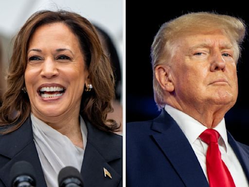 Republicans Voting For Kamala Harris Over Donald Trump Are Sharing The Reasons Why, And This Makes So Much Sense