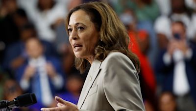 Kamala Harris has made major gains in critical Sun Belt swing states, leads in Arizona and North Carolina: poll