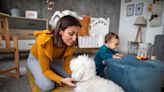 ‘The Puss in Boots Effect:’ Women use infant-directed speech when addressing dogs with larger eyes