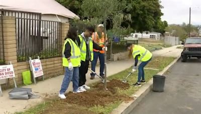 San Diego launches new program to plant hundreds of trees across the city